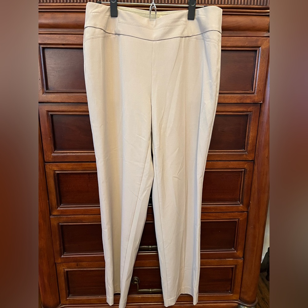 Tan Dress Pants - 10S